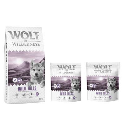 Wolf of Wilderness Logo. Hund springt über moosbedeckte Felsen in einem Wald.