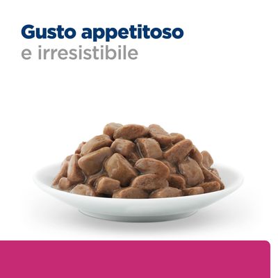 Ciotola con pezzi di carne marrone in salsa. Testo: Gusto appetitoso e irresistibile.