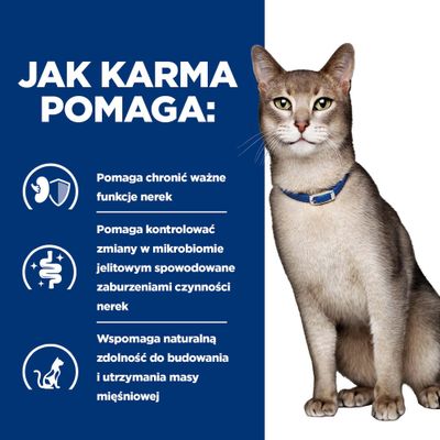 Obrazek tekstowy z trzema punktami: Ochrona ważnych funkcji nerek, kontrola zmian w mikrobiomie jelitowym przy problemach z nerkami, wspomaganie budowy i utrzymania masy mięśniowej.