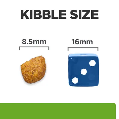 Size comparison: Kibble with a diameter of 8.5 mm next to a cube with an edge length of 16 mm. Heading: Kibble Size.