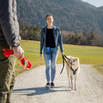 Curli Belka Basic harnais pour chien, noir