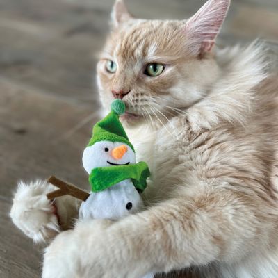 Aumüller Coussin Bonhomme de neige Frozen Fritz pour chat