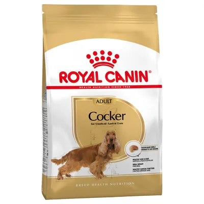 Royal Canin Adult Cocker, över 12 månader. Breed Health Nutrition med anpassad foderbit för frisk hud och päls, idealvikt och hjärthälsa.