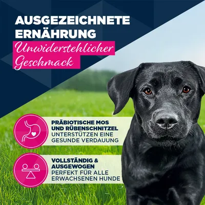 Eukanuba Adult Reich an Pute mit Karotten - Sparpaket: 48 x 400 g