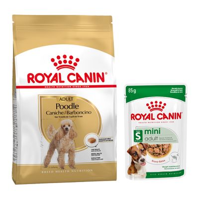 Royal Canin Breed pienso para perros + comida húmeda: ¡15 % de descuento! - Poodle Adult (7,5 kg) + Mini Adult en salsa (12 x 85 g)