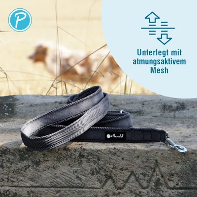 Petlando Mesh 3 m Führleine, schwarz - 300 cm lang, 15 mm breit (Größe S)