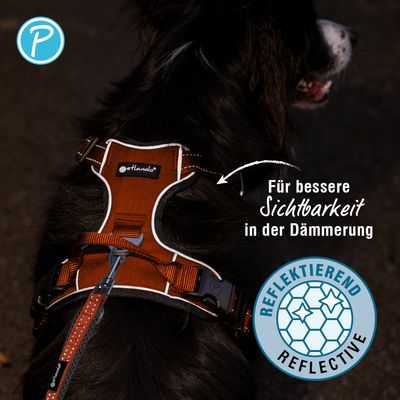 Petlando Outdoor harnais, orange