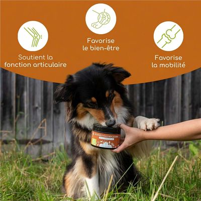 Chien renifle une boîte portant l'inscription « Articulations et Os Friandises ». Texte : Soutient la fonction articulaire, Favorise le bien-être, Favorise la mobilité.