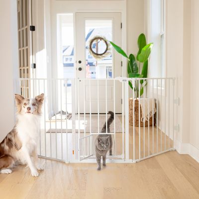 Carlson Flexi Extra-Wide Barrier Fence with Small Animal Door