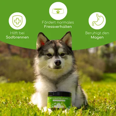 Wolfsbacher Natur Leckerli Kot & Grasfrei - 300 g