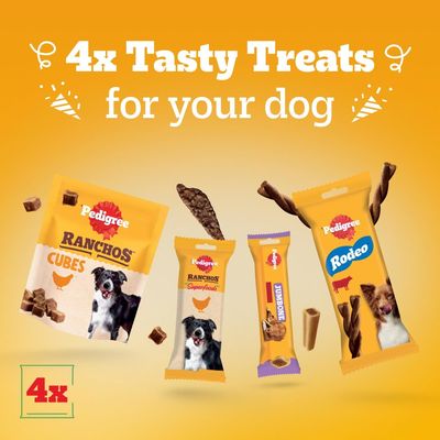 Pedigree Dog Treats Party Pack - 241g