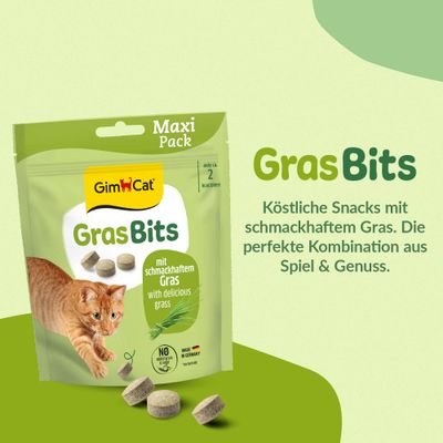 GimCat GrasBits