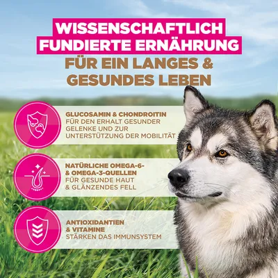 Eukanuba Grain Free Senior Large & Giant mit Seefisch - 12 kg