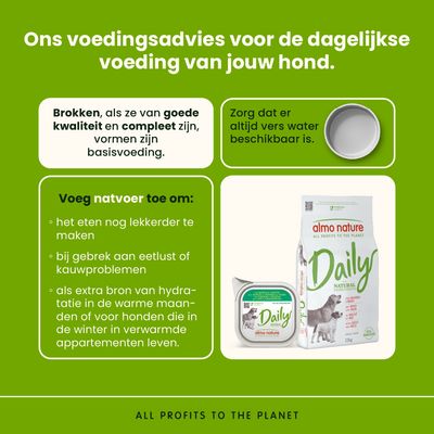 Voedingsadvies voor honden: Hoogwaardig droogvoer als basis, altijd vers water beschikbaar stellen, natvoer toevoegen om de acceptatie en hydratatie te verhogen.