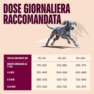 Carnilove Active Junior Large Breed Salmone & Tacchino