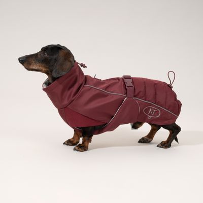 Nomad Tales Spirit Softshell-Hundemantel, burgunderrot