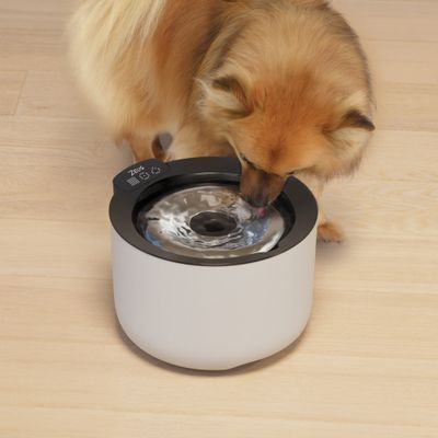 Zeus Oasis Plus Smarter Drinking Fountain