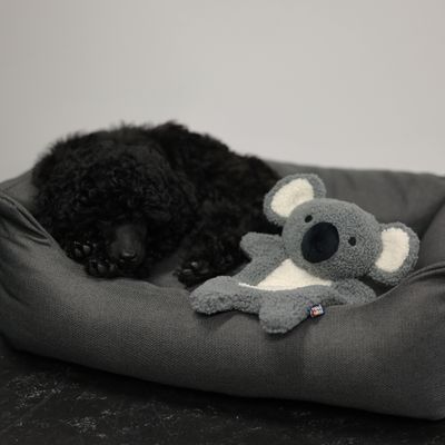 Rukka Calm koala kutyajáték