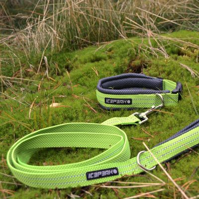 Icepeak Pet Grand X Halsband, limette