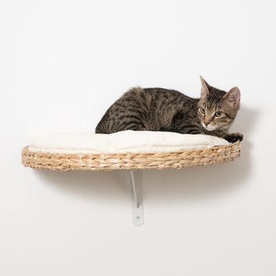 Modern Living Katzenparcours Manarola, beige - Liegefläche Manarola