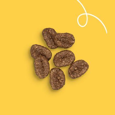 Yarrah Bio Crispy Rewards kemencében szárítva