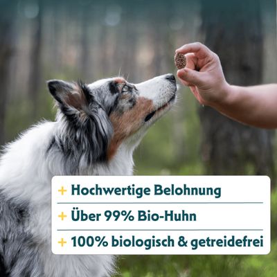 Yarrah Bio Crispy Rewards kemencében szárítva