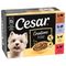 Cesar Selektion Fleisch und Gemüse in Sauce 12 x 100 g