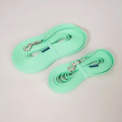Deux laisses pour chien vert menthe avec mousqueton en métal et étiquette visible « Human Tails », côte à côte sur un fond clair.