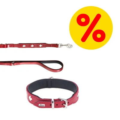 Rotes Halsband und rote Leine mit weißen Kreuzmotiven, Hunter-Logo sichtbar. Gelbes Prozentzeichen für Rabattaktion.
