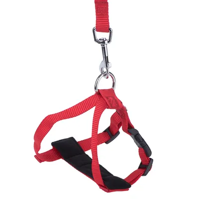 Rødt seletøj med justerbare stropper, sort polstring og metalclip til fastgørelse.