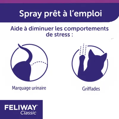 Spray prêt à l’emploi. Aide à diminuer les comportements de stress : marquage urinaire, griffades. FELIWAY Classic.