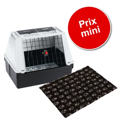 Caisse de transport en plastique et métal avec tapis noir à motifs pattes, pastille rouge « Prix mini » visible sur l’image.