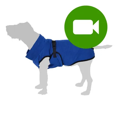 Przycisk odtwarzania filmu. Kliknij tutaj, aby obejrzeć wideo produktu: pies w niebieskim ubraniu z czarnym paskiem. Przycisk odtwarzania filmu. Kliknij tutaj, aby obejrzeć wideo produktu: pies w niebieskim ubraniu z czarnym paskiem.