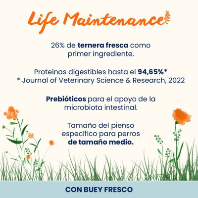 Almo Nature Life Maintenance Adult Medium con vacuno y arroz