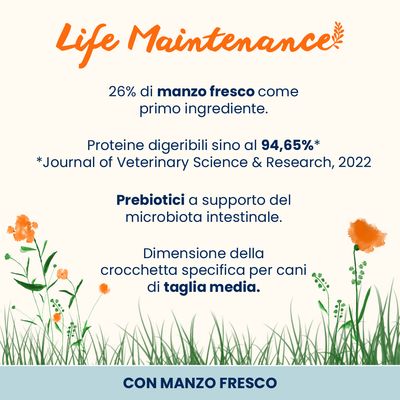 Almo Nature Holistic Medium Adult con Manzo Fresco