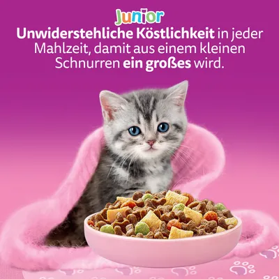 Whiskas Junior Kitten Trockenfutter mit Huhn - Sparpaket: 2 x 1,9 kg