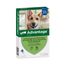Advantage® 400 voor Honden vanaf 25 kg Dubbelpak 2 x 4 Pipetten - NL