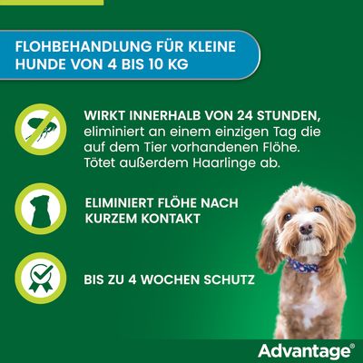 Flohbehandlung für kleine Hunde von 4 bis 10 kg. Wirkt innerhalb von 24 Stunden, eliminiert Flöhe und Haarlinge. Bis zu 4 Wochen Schutz. Marke: Advantage.