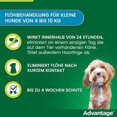 Flohbehandlung für kleine Hunde von 4 bis 10 kg. Wirkt innerhalb von 24 Stunden, eliminiert Flöhe und Haarlinge. Bis zu 4 Wochen Schutz. Marke: Advantage.