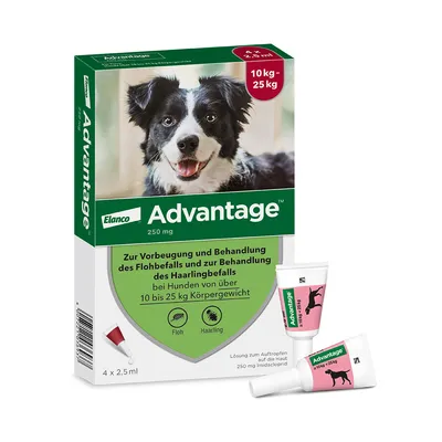 Advantage® 250 voor Honden 10 - 25 kg - Dubbelpak 2 x 4 Pipetten - NL