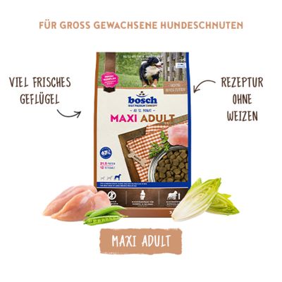 bosch Maxi Adult, viel frisches Geflügel, Rezeptur ohne Weizen, für groß gewachsene Hundeschnuten. Abbildung von Trockenfutter, Hähnchenfleisch und Gemüse.