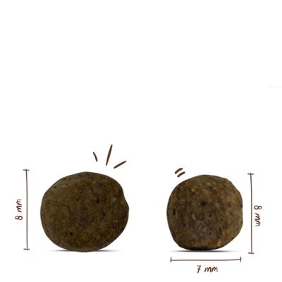 Zwei runde Futterstücke mit Maßangaben: links 8 mm Durchmesser, rechts 7 mm Breite und 8 mm Höhe.