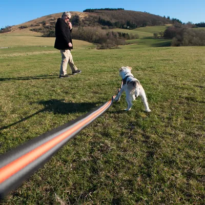 Hond aan lange lijn op een grasveld, man wandelt op de achtergrond. Toont gebruik van een hondenriem voor buitenactiviteiten.