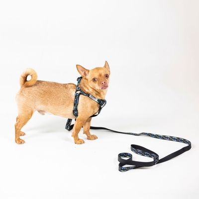 Postroj pro psy s odpovídajícím vodítkem, černý design s barevnými vzory. Postroj a vodítko jsou propojené.