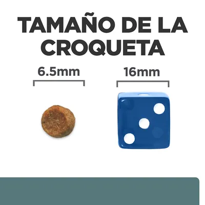 Tamaño de la croqueta: 6,5 mm comparado con un dado azul de 16 mm. Texto visible: 'TAMAÑO DE LA CROQUETA', '6.5 mm', '16 mm'.
