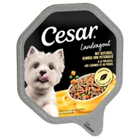 Cesar tálcás megapack 14 x 150 g - Szárnyas & zöldség szószban