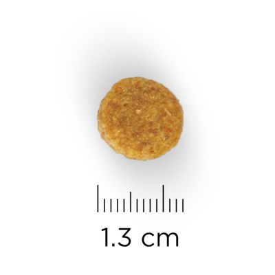 Yksi pyöreä nappula, halkaisija 1,3 cm, viivaimen vieressä mittaamisen havainnollistamiseksi.