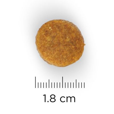 Pyöreä nappula, halkaisija 1,8 cm, mitta-asteikon vieressä.