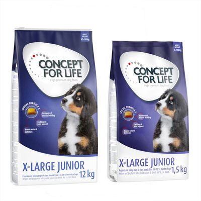 12 kg + 1,5 kg gratis! 13,5 kg Concept for Life Hrană uscată câini