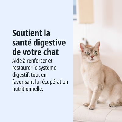 Soutient la santé digestive de votre chat. Aide à renforcer et à restaurer le système digestif, tout en favorisant la récupération nutritionnelle.